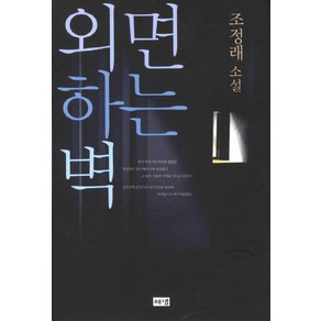 외면하는 벽:조정래 소설, 해냄출판사, 조정래 저