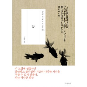 문, 현암사, 나쓰메 소세키 저/송태욱 역