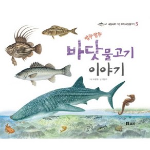 팔딱팔딱바닷물고기 이야기, 보리