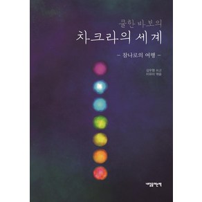 [내일을여는책]쿨한 바보의 차크라의 세계 : 참나로의 여행