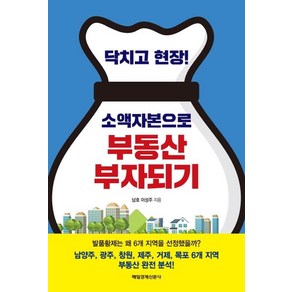 닥치고 현장! 소액자본으로 부동산 부자되기