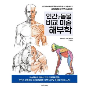 인간&동물 비교 미술해부학, 삼호미디어, 카토 코우타 코야마 신페이