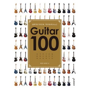 Guitar(기타) 100:일렉기타 가이드북 기타레시피 A to Z