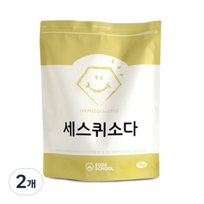 소다스쿨 대용량 세스퀴소다 세정제, 2개, 3kg