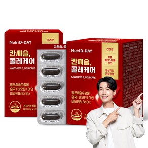 뉴트리디데이 칸씨슬 콜레케어 48g, 60정, 2개