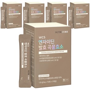 뉴트리코어 WCS 노케스템 엔자이딘 발효 곡물효소, 120g, 5개