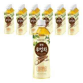 광동제약 우엉차, 24개, 500ml