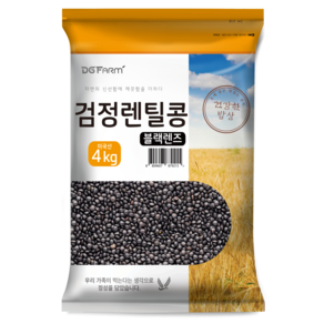 대구농산 검정렌틸콩 블랙렌즈, 4kg, 1개