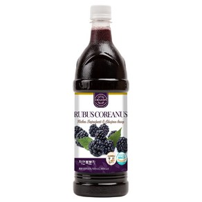 차전 자연에서온 복분자 원액, 900ml, 1개