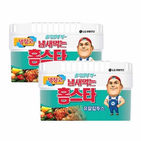 냄새먹는 홈스타 냉장고용 탈취제 유칼립투스, 420g, 2개