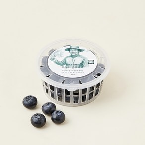 이광호 농부의 무농약 블루베리, 1개, 100g(특대과)
