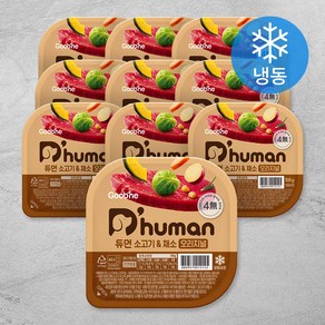 듀먼 전연령용 오리지널 냉동 화식사료, 소, 50g, 10개