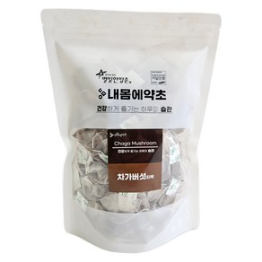 내몸에약초 차가버섯 삼각티백, 1g, 50개입, 1개