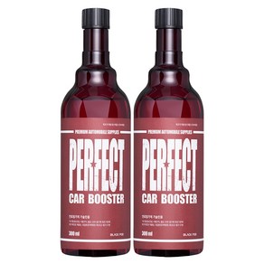 블랙팟 퍼펙트 카부스터 연료첨가제 휘발유용 300ml, 2개, 가솔린/휘발유