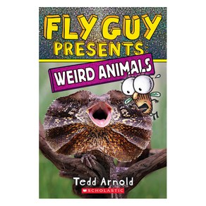 Fly Guy Presents : Weird Animals, Scholastic