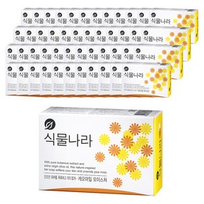 식물나라 비누 캐모마일 모이스처, 100g, 48개