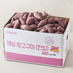 해남 한입 밤고구마, 10kg, 1개