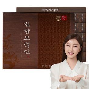 정원삼 침향보력단 100p + 쇼핑백, 375g, 1개