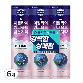 히말라야핑크솔트 담은 바이옴 구취억제 치약, 100g, 6개