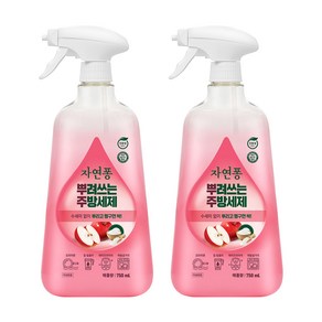 자연퐁 뿌려쓰는 주방세제 용기형 애플향, 750ml, 2개