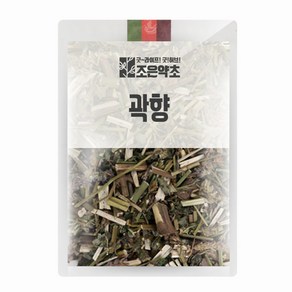 조은약초 곽향, 100g, 1개