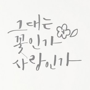 1AM 캘리그라피 인테리어 포인트 스티커 그대는 꽃인가, 연회