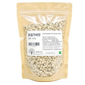 행복약초 인도산 모링가씨앗, 300g, 1개