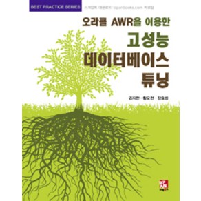 오라클 AWR을 이용한고성능 데이터베이스 튜닝, 비팬북스