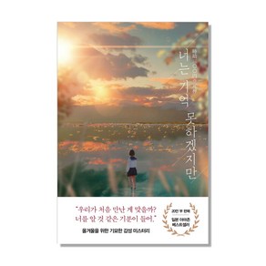 너는 기억 못하겠지만:후지마루 장편소설, 아르테(ate), 후지마루 저/김은모 역