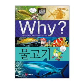 Why? 물고기