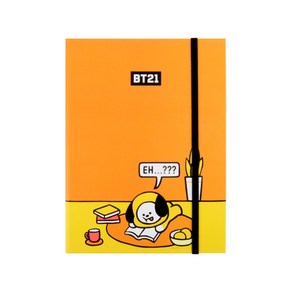 라인프렌즈 BT21 다이어리M