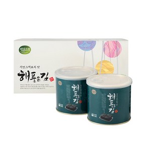바다소리 해품은 김 22g x 2p 2호 선물 세트, 1세트