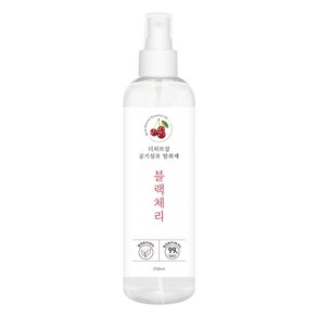 더허브샵 차량&섬유 탈취제 250ml, 1개, 블랙체리