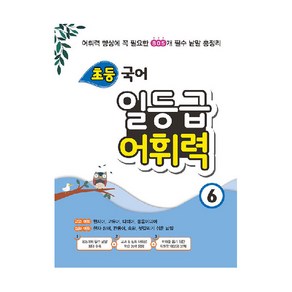 초등 국어 일등급 어휘력 6:어휘력 향상에 꼭 필요한 805개 필수 낱말 총정리