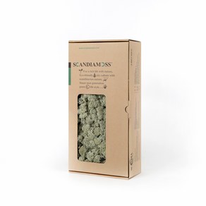 스칸디아모스 이끼 RM500 실버그레이 500g, 1개