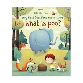 Vey Fist Lift-the-Flap Questions & Answes : What is Poo?, Usbone