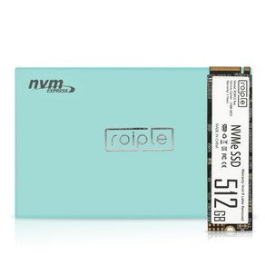 디오테라 NVMe SSD