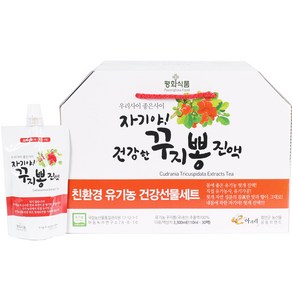 평화식품 유기농 꾸지뽕 진액, 110ml, 1박스