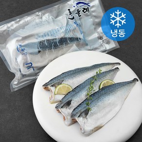 한올레 제주 고등어살 (냉동), 650g, 1팩