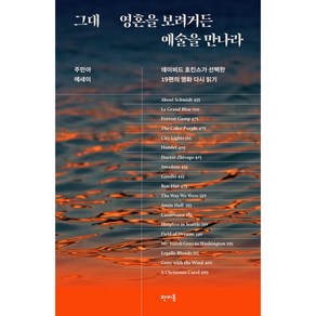 그대 영혼을 보려거든 예술을 만나라:데이비드 호킨스가 선택한 19편의 영화 다시 읽기  주민아 에세이, 판미동