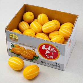 성주벽진농협 미니참외, 5kg, 1박스