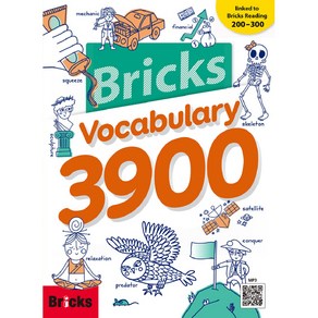 Bricks Vocabulary 3900