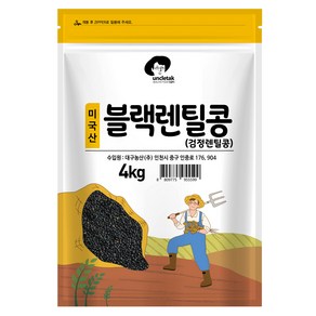 엉클탁 미국산 블랙렌틸콩 검정렌틸콩, 4kg, 1개