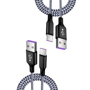 위드웍스 USB 5A 초고속 타입C 충전 케이블 2p 세트, 2m, 블랙, 2개