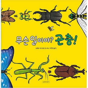 무슨 일이야? 곤충! 양장, 길벗어린이