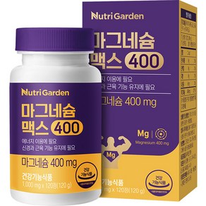 뉴트리가든 마그네슘 맥스400 120정