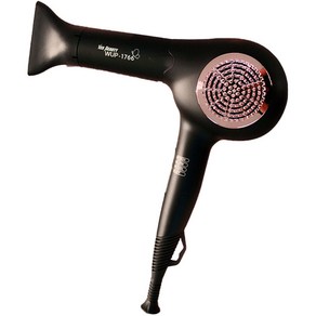 예스뷰티 드라이기 WUP1766 1700W