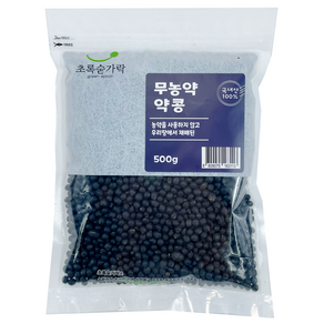 초록숟가락 무농약 약콩, 500g, 1개