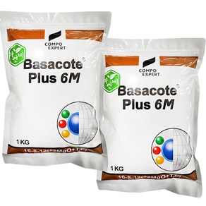 COMPOEXPERT 바사코트 화분 식물영양제 6개월 복합 코팅비료, 2개, 1kg