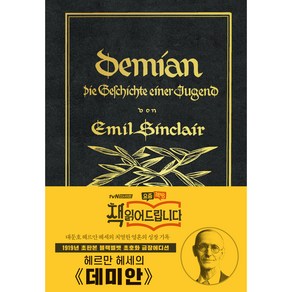 Demian : 1919년 오리지널 초판본 초호화 블랙벨벳 금장 에디션 리커버, 더스토리, 헤르만 헤세